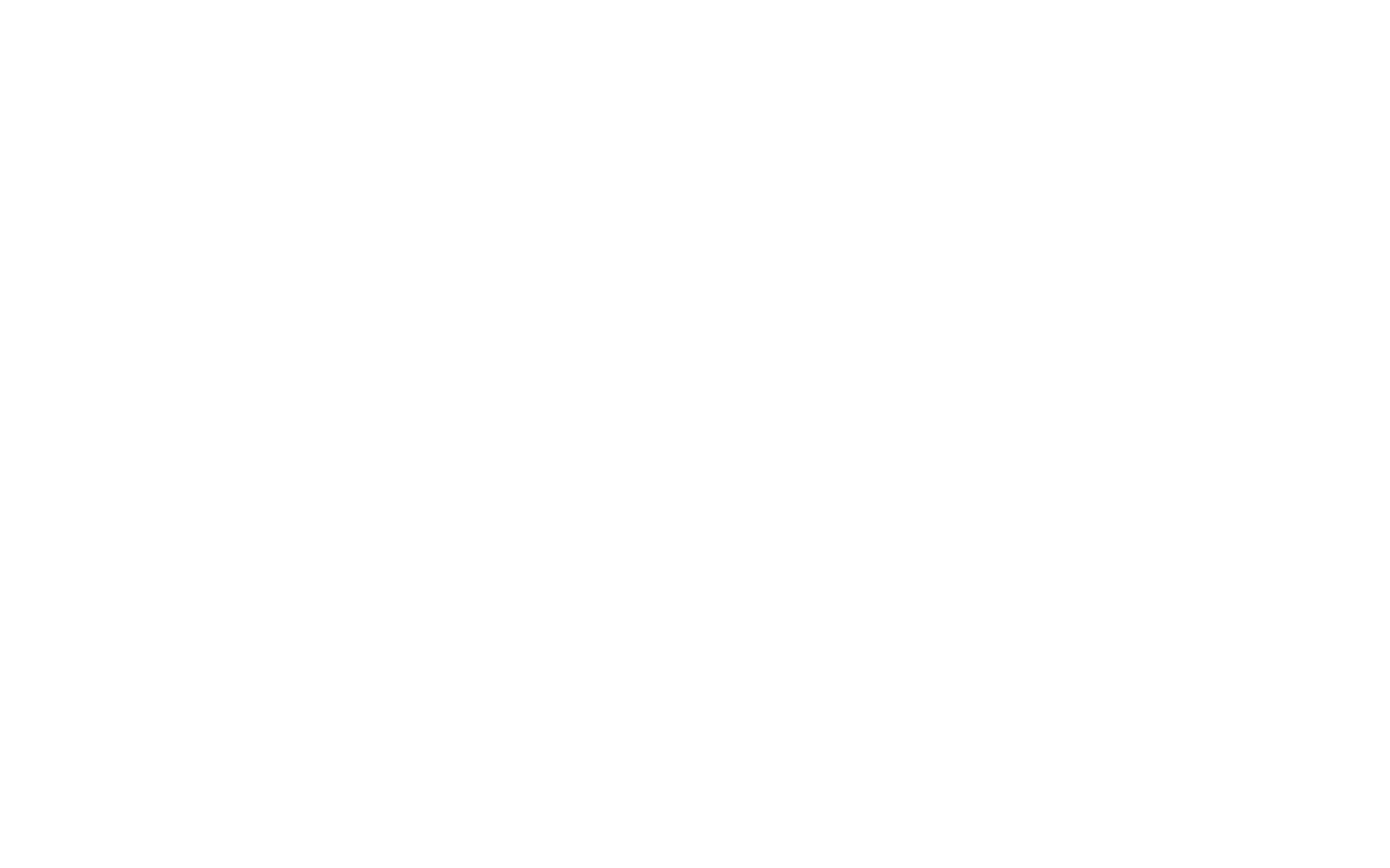 HUD Overlay